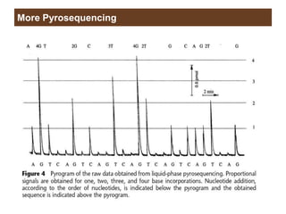 More Pyrosequencing
 
