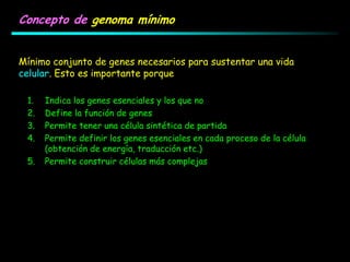 Concepto de genoma mínimo
Mínimo conjunto de genes necesarios para sustentar una vida
celular. Esto es importante porque
1. Indica los genes esenciales y los que no
2. Define la función de genes
3. Permite tener una célula sintética de partida
4. Permite definir los genes esenciales en cada proceso de la célula
(obtención de energía, traducción etc.)
5. Permite construir células más complejas
 