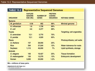 Table 12.2 Representative Sequenced Genomes
 