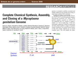 Síntesis de un genoma entero ……… Science 2008
1/25 1/8 1/4 Whole
42 43 44 45
6kb 72kb 144kb 580kb24kb
50-77B50-77A
Yeast Vector
yeast
yeastE. coli
Chemical
Synthesis
 