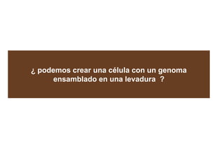 ¿ podemos crear una célula con un genoma
ensamblado en una levadura ?
 
