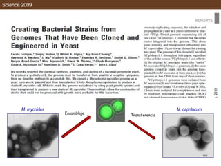 Science 2009
M. mycoides M. caprilocum
Ensamblaje Transferencia
 
