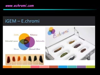 www.echromi.com
 