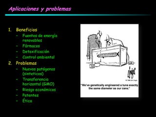 Aplicaciones y problemas
1. Beneficios
– Fuentes de energía
renovables
– Fármacos
– Detoxificación
– Control ambiental
2. Problemas
– Nuevos patógenos
(sinteticos)
– Transferencia
horizontal (GMO)
– Riesgo económicos
– Patentes
– Ética
 