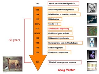 ~50 years
‘Finished’ human genome sequence
1900
1944
1953
1960’s
1977
1975-79
1986
1995
1999
1990
Rediscovery of Mendel’s genetics
DNA identified as hereditary material
DNA structure
Genetic code
Advent of DNA sequencing
First human genes isolated
DNA sequencing automated
First whole genome
First human chromosome
Human genome project officially begins
Mendel discovers laws of genetics1865
2003
Craig Venter
 