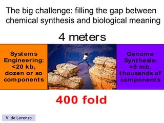 Syst ems
Engineering:
<20 kb,
dozen or so
component s
Genome
Synt hesis:
>8 mb,
t housands of
component s
4 meters
400 fold
The big challenge: filling the gap between
chemical synthesis and biological meaning
V. de Lorenzo
 