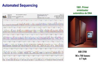 Automated Sequencing
ABI 3700
96 x 700 bases:
± 7 kpb
1981. Primer
sintetizador
automático de DNA
 