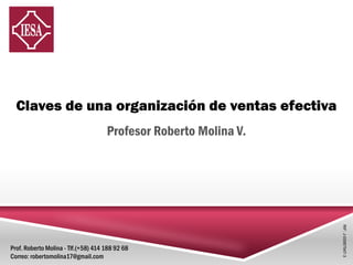 Claves de una organización de ventas efectiva
Profesor Roberto Molina V.
RIF:J-00067547-3
Prof. Roberto Molina - Tlf.(+58) 414 188 92 68
Correo: robertomolina17@gmail.com
 