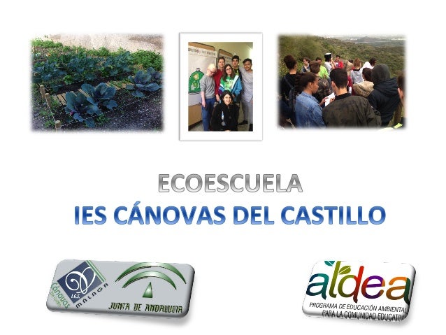 picture Ies Canovas Del Castillo Malaga ies canovas del castillo