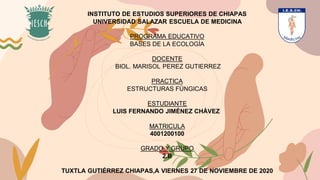 INSTITUTO DE ESTUDIOS SUPERIORES DE CHIAPAS
UNIVERSIDAD SALAZAR ESCUELA DE MEDICINA
PROGRAMA EDUCATIVO
BASES DE LA ECOLOGÍA
DOCENTE
BIOL. MARISOL PEREZ GUTIERREZ
PRACTICA
ESTRUCTURAS FÚNGICAS
ESTUDIANTE
LUIS FERNANDO JIMÉNEZ CHÁVEZ
MATRICULA
4001200100
GRADO Y GRUPO
2.B
TUXTLA GUTIÉRREZ CHIAPAS,A VIERNES 27 DE NOVIEMBRE DE 2020
 