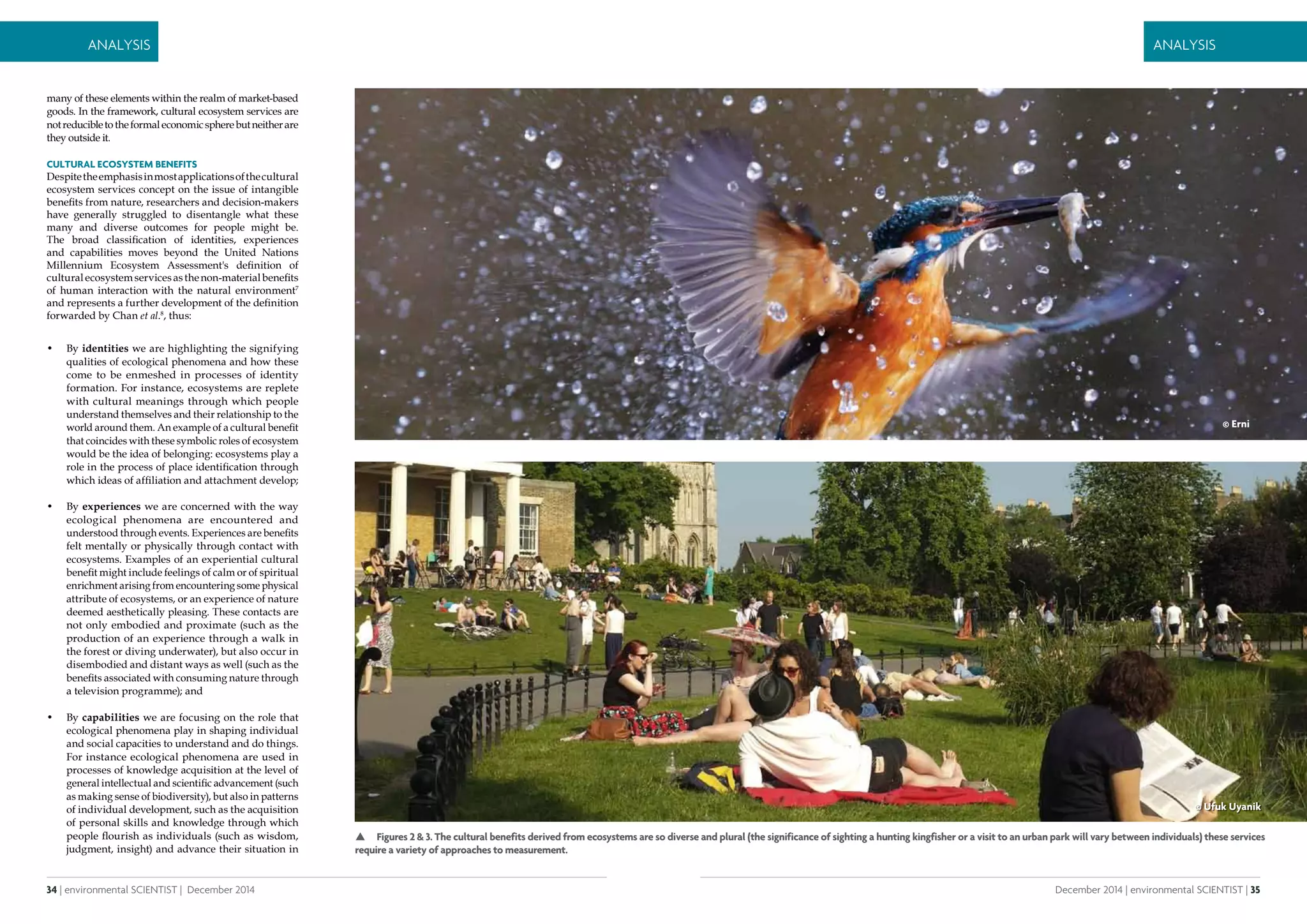 34 | environmental SCIENTIST | December 2014
Analysis
December 2014 | environmental SCIENTIST | 35
Analysis
 Figures 2 & 3. The cultural benefits derived from ecosystems are so diverse and plural (the significance of sighting a hunting kingfisher or a visit to an urban park will vary between individuals) these services
require a variety of approaches to measurement.
© Erni
© Ufuk Uyanik
many of these elements within the realm of market-based
goods. In the framework, cultural ecosystem services are
notreducibletotheformaleconomicspherebutneitherare
they outside it.
Cultural ecosystem benefits
Despitetheemphasisinmostapplicationsofthecultural
ecosystem services concept on the issue of intangible
benefits from nature, researchers and decision-makers
have generally struggled to disentangle what these
many and diverse outcomes for people might be.
The broad classification of identities, experiences
and capabilities moves beyond the United Nations
Millennium Ecosystem Assessment's definition of
culturalecosystemservicesasthenon-materialbenefits
of human interaction with the natural environment7
and represents a further development of the definition
forwarded by Chan et al.8
, thus:
•	 By identities we are highlighting the signifying
qualities of ecological phenomena and how these
come to be enmeshed in processes of identity
formation. For instance, ecosystems are replete
with cultural meanings through which people
understand themselves and their relationship to the
world around them. An example of a cultural benefit
that coincides with these symbolic roles of ecosystem
would be the idea of belonging: ecosystems play a
role in the process of place identification through
which ideas of affiliation and attachment develop;
•	 By experiences we are concerned with the way
ecological phenomena are encountered and
understood through events. Experiences are benefits
felt mentally or physically through contact with
ecosystems. Examples of an experiential cultural
benefit might include feelings of calm or of spiritual
enrichment arising from encountering some physical
attribute of ecosystems, or an experience of nature
deemed aesthetically pleasing. These contacts are
not only embodied and proximate (such as the
production of an experience through a walk in
the forest or diving underwater), but also occur in
disembodied and distant ways as well (such as the
benefits associated with consuming nature through
a television programme); and
•	 By capabilities we are focusing on the role that
ecological phenomena play in shaping individual
and social capacities to understand and do things.
For instance ecological phenomena are used in
processes of knowledge acquisition at the level of
general intellectual and scientific advancement (such
as making sense of biodiversity), but also in patterns
of individual development, such as the acquisition
of personal skills and knowledge through which
people flourish as individuals (such as wisdom,
judgment, insight) and advance their situation in
 