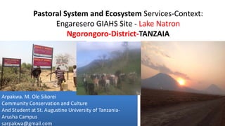 Pastoral System and Ecosystem Services-Context:
Engaresero GIAHS Site - Lake Natron
Ngorongoro-District-TANZAIA
1
Arpakwa. M. Ole Sikorei
Community Conservation and Culture
And Student at St. Augustine University of Tanzania-
Arusha Campus
sarpakwa@gmail.com
 