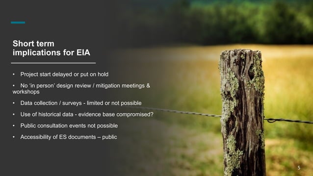 adapting-to-the-new-normal-ppt