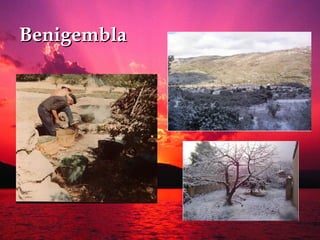 Benigembla 