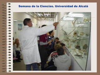 Semana de la Ciencias. Universidad de Alcalá
 