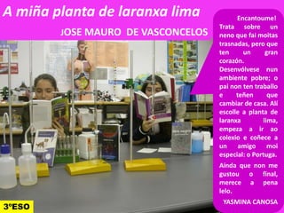 A miña planta de laranxa lima
JOSE MAURO DE VASCONCELOS
Encantoume!
Trata sobre un
neno que fai moitas
trasnadas, pero que
ten un gran
corazón.
Desenvólvese nun
ambiente pobre; o
pai non ten traballo
e teñen que
cambiar de casa. Alícambiar de casa. Alí
escolle a planta de
laranxa lima,
empeza a ir ao
colexio e coñece a
un amigo moi
especial: o Portuga.
Aínda que non me
gustou o final,
merece a pena
lelo.
YASMINA CANOSA
3ºESO
 