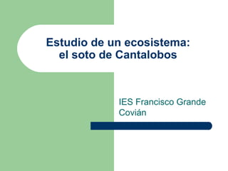 IES Francisco Grande
Covián
Estudio de un ecosistema:
el soto de Cantalobos
 