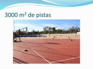 3000 m2 de pistas
 