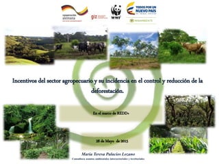 María Teresa Palacios Lozano
Consultora asuntos ambientales intersectoriales y territoriales
En el marco de REDD+
Incentivos del sector agropecuario y su incidencia en el control y reducción de la
deforestación.
28 de Mayo de 2015
 