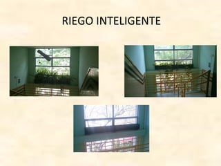 RIEGO INTELIGENTE
 