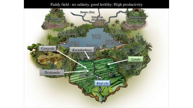 Ancient Water Resources Management In Sri Lanka