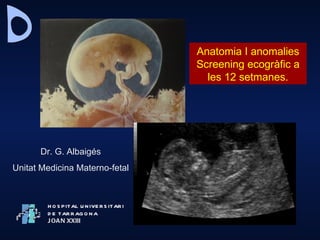Anatomia I anomalies
                                          Screening ecogràfic a
                                            les 12 setmanes.




      Dr. G. Albaigés
Unitat Medicina Materno-fetal



        H O S P ITAL U N IVE R S ITAR I
        D E TAR R AG O N A
        J OA N XXIII
 