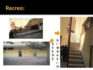 G
I
M
N
A
S
I
O
A
S
E
O
S
 