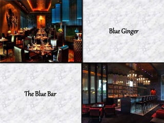 The Blue Bar
Blue Ginger
 