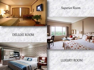 Superior Room
DELUXE ROOM
LUXURY ROOM
 