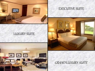 EXECUTIVE SUITE
LUXURY SUITE
GRAND LUXURY SUITE
 