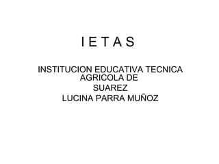 I E T A S INSTITUCION EDUCATIVA TECNICA AGRICOLA DE  SUAREZ LUCINA PARRA MUÑOZ 