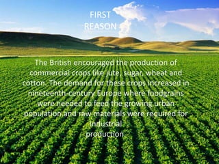 The British encouraged the production of
commercial crops like jute, sugar, wheat and
cotton. The demand for these crops increased in
nineteenth-century Europe where foodgrains
were needed to feed the growing urban
population and raw materials were required for
industrial
production.
FIRST
REASON
 