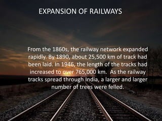 From the 1860s, the railway network expanded
rapidly. By 1890, about 25,500 km of track had
been laid. In 1946, the length of the tracks had
increased to over 765,000 km. As the railway
tracks spread through India, a larger and larger
number of trees were felled.
EXPANSION OF RAILWAYS
 