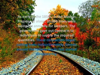 As early as the 1850s, in the Madras
Presidency alone, 35,000 trees were
being cut annually for sleepers. The
government gave out contracts to
individuals to supply the required
quantities. These contractors began
cutting trees indiscriminately. Forests
around the railway tracks fast started
disappearing.
 