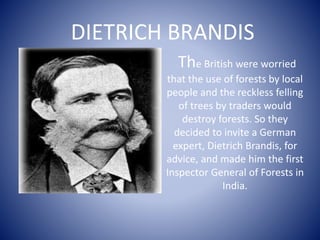 The British were worried
that the use of forests by local
people and the reckless felling
of trees by traders would
destroy forests. So they
decided to invite a German
expert, Dietrich Brandis, for
advice, and made him the first
Inspector General of Forests in
India.
DIETRICH BRANDIS
 
