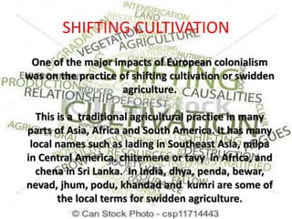 SHIFTING CULTIVATION
One of the major impacts of European colonialism
was on the practice of shifting cultivation or swidden
agriculture.
This is a traditional agricultural practice in many
parts of Asia, Africa and South America. It has many
local names such as lading in Southeast Asia, milpa
in Central America, chitemene or tavy in Africa, and
chena in Sri Lanka. In India, dhya, penda, bewar,
nevad, jhum, podu, khandad and kumri are some of
the local terms for swidden agriculture.
 