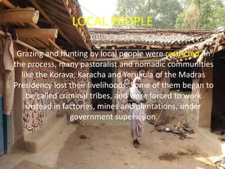 LOCAL PEOPLE
Grazing and hunting by local people were restricted. In
the process, many pastoralist and nomadic communities
like the Korava, Karacha and Yerukula of the Madras
Presidency lost their livelihoods. Some of them began to
be called criminal tribes, and were forced to work
instead in factories, mines and plantations, under
government supervision.
 