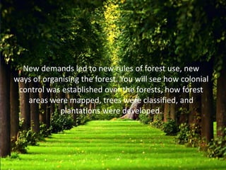 New demands led to new rules of forest use, new
ways of organising the forest. You will see how colonial
control was established over the forests, how forest
areas were mapped, trees were classified, and
plantations were developed.
 