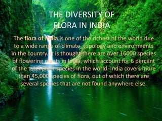 The flora of India is one of the richest of the world due
to a wide range of climate, topology and environments
in the country. It is thought there are over 16000 species
of flowering plants in India, which account for 6 percent
of the total plant species in the world. India covers more
than 45,000 species of flora, out of which there are
several species that are not found anywhere else.
THE DIVERSITY OF
FLORA IN INDIA
 