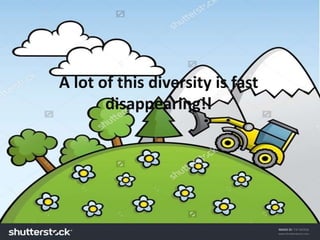 A lot of this diversity is fast
disappearing!!
 