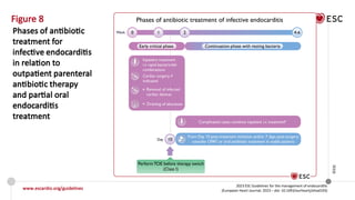 2023 ESC guidelines for the management of endocarditis | PPTX