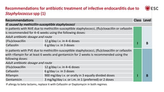 2023 ESC guidelines for the management of endocarditis | PPTX