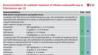 2023 ESC guidelines for the management of endocarditis | PPTX