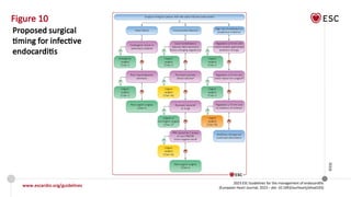 2023 ESC guidelines for the management of endocarditis | PPTX
