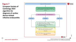 2023 ESC guidelines for the management of endocarditis | PPTX