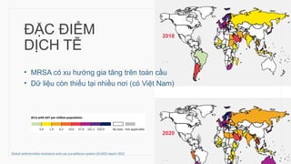ĐẶC ĐIỂM
DỊCH TỄ
• MRSA có xu hướng gia tăng trên toàn cầu
• Dữ liệu còn thiếu tại nhiều nơi (có Việt Nam)
12
2018
2020
Global antimicrobial resistance and use surveillance system (GLASS) report 2022
 