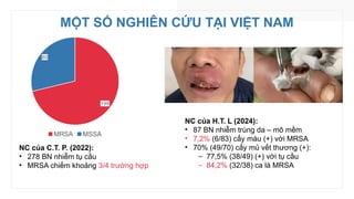 MỘT SỐ NGHIÊN CỨU TẠI VIỆT NAM
198
80
MRSA MSSA
NC của C.T. P. (2022):
• 278 BN nhiễm tụ cầu
• MRSA chiếm khoảng 3/4 trường hợp
NC của H.T. L (2024):
• 87 BN nhiễm trùng da – mô mềm
• 7,2% (6/83) cấy máu (+) với MRSA
• 70% (49/70) cấy mủ vết thương (+):
‒ 77,5% (38/49) (+) với tụ cầu
‒ 84,2% (32/38) ca là MRSA
 