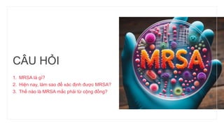 CÂU HỎI
1. MRSA là gì?
2. Hiện nay, làm sao để xác định được MRSA?
3. Thế nào là MRSA mắc phải từ cộng đồng?
 