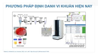 PHƯƠNG PHÁP ĐỊNH DANH VI KHUẨN HIỆN NAY
Elbehiry A, Aldubaib M, et al. Vaccines. 2022; 10(11):1881. https://doi.org/10.3390/vaccines10111881
 