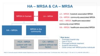 HA – MRSA & CA – MRSA
MRSA in human
HA – MRSA
MRSA in the
community
HCA – MRSA
(patient with risk
factor)*
CA – MRSA
(patient without risk
factor)
Witte W. Community-acquired methicillin-resistant Staphylococcus aureus: what do we need to know?. Clin Microbiol Infect. 2009;15 Suppl 7:17-25. doi:10.1111/j.1469-0691.2009.03097.x
LA – MRSA
LA – MRSA: livestock associated MRSA
CA – MRSA: community-associated MRSA
HAC – MRSA: healthcare-associated
community-onset MRSA
HA – MRSA: healthcare-associated MRSA
* Risk factor:
• Prolonged hospital stay
• Care in ICU‘s
• Prolonged antibiotic treatment
• Surgical interventions
• Close contact with MRSA positive individuals
 